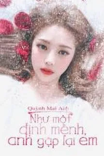 Như Một Định Mệnh, Anh Gặp Lại Em