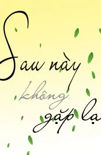 SAU NÀY KHÔNG GẶP LẠI